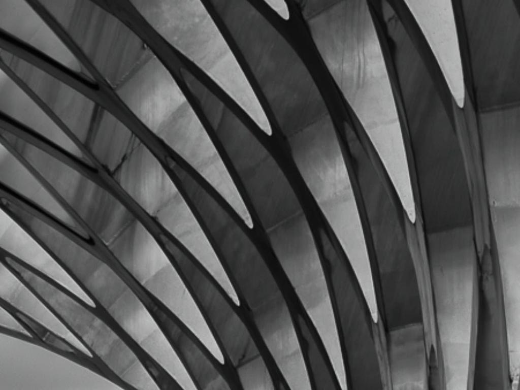 Tiliqua Tiliqua Anniversary Show - BLACK 2026 | What's on in Enmore image 1