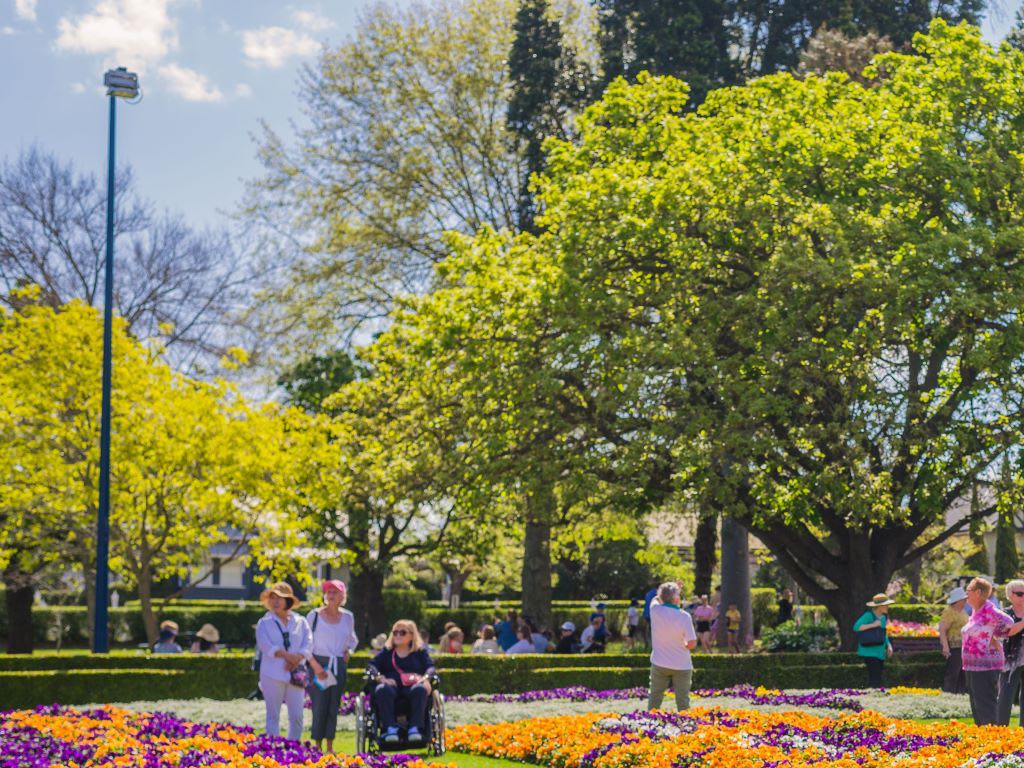 Toowoomba Carnival of Flowers 2020 | What's on in Toowoomba