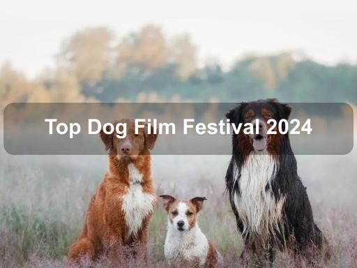 Celebrate the canine connection through this carefully curated collection of heartwarming stories about dogs and their people at the 2024 Top Dog Film Festival