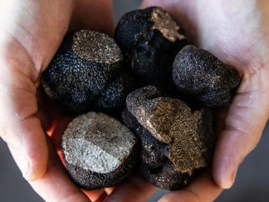 Partnering with Torbreck wines, O Bar and Dining is hosting a limited series of three 'Torbreck x Truffle' dinners on Tu...