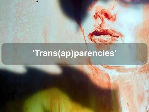 Trans(ap)parencies', by Anthea da Silva, is a contemporary meditation on perceptions of human value