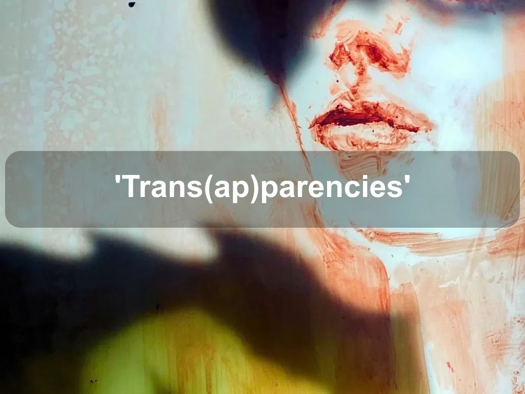 Trans(ap)parencies' | M16 Artspace Exhibition 2024 | Griffith