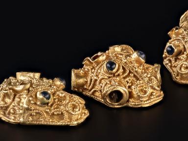 Buried around AD 900, and found in 2014 by metal detectorists, the Galloway Hoard contains over 5 kilograms of silver, g...