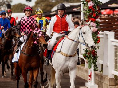 Stradbroke Season launches with a spectacular day of celebration. Treasury Brisbane Queensland Guineas Day hosts the exh...