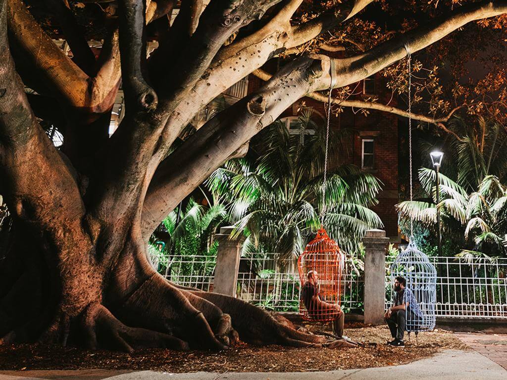 Tree Month in the City of Perth 2023 | Perth