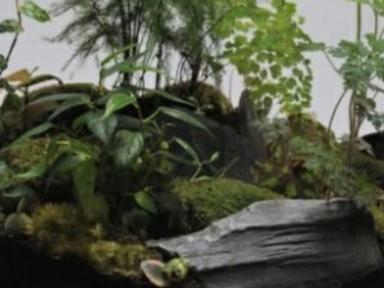 Spend a lazy Sunday afternoon making your own tropical terrarium while hanging out in a creative warehouse jungle in Syd...