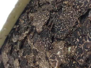 Truffle season is upon us and Mount Majura are  excited to include truffles at their cellar door as part of the winter t...