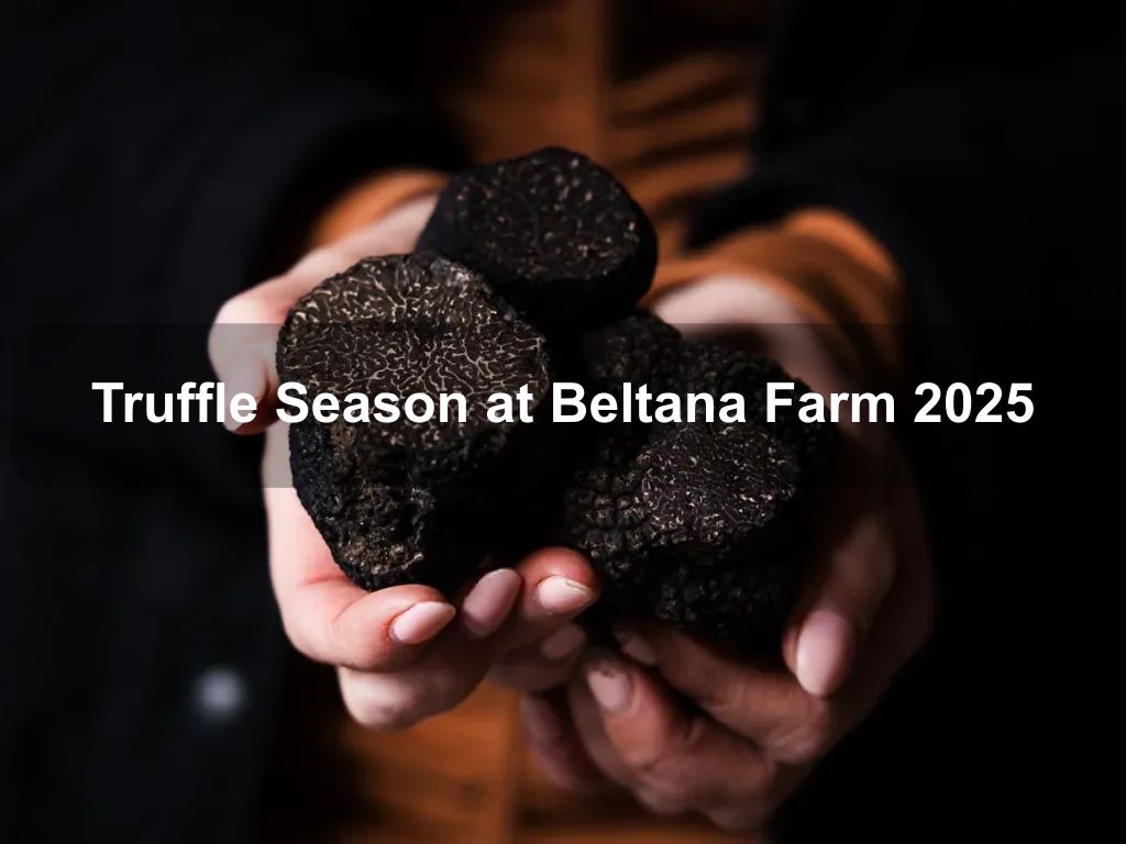 Truffle Season at Beltana Farm 2025 | What's on in Pialligo Truffle Season at Beltana Farm 2025 | What's on in Pialligo