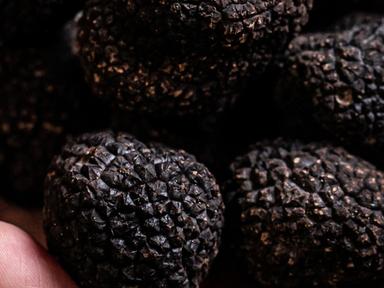 Indulge in the ultimate winter delicacy with a seasonal menu by Mode Kitchen & Bar, full of fragrant truffle-infused del... Indulge in the ultimate winter delicacy with a seasonal menu by Mode Kitchen & Bar, full of fragrant truffle-infused del...