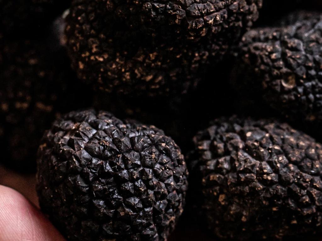 Truffle season at Mode Kitchen & Bar 2025 | What's on in Sydney Truffle season at Mode Kitchen & Bar 2025 | What's on in Sydney