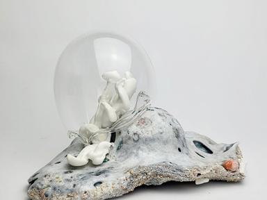 Twisted Nature is a joint exhibition by contemporary Canberra ceramic artists Anna O'Neale and Mahala Hill. The exhibiti...