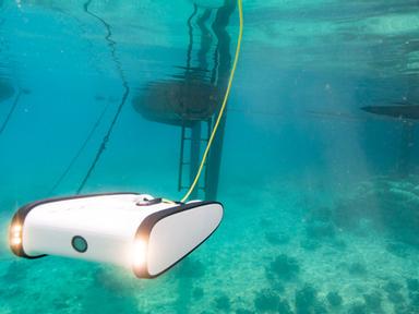 Explore below the surface of the harbour with our cutting-edge underwater drones.Have fun testing your gaming skills thi...