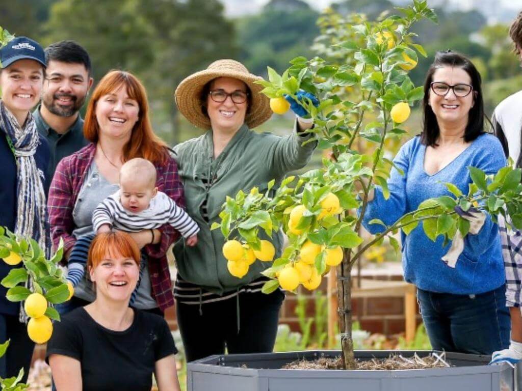 Urban explorers Green Square: community gardens tour 2022 | What's on in Zetland