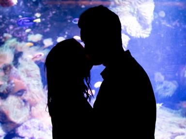 Impress your Valentine this year with a truly unique experience- enjoy a romantic night of underwater enchantment at SEA...