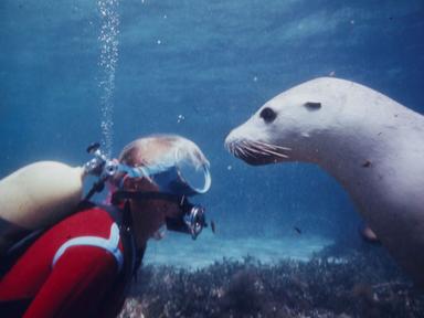 Dive into the remarkable world of an Australian marine pioneer....