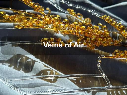 Veins of Air is a new body of work by glass artist Akie Haga