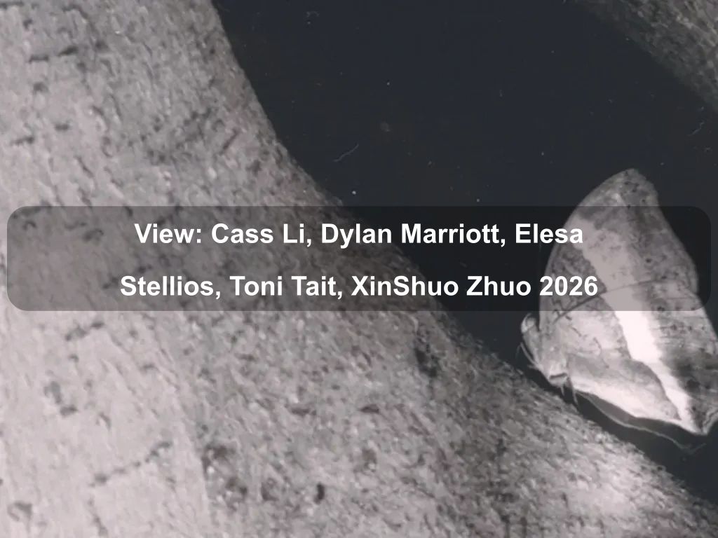 View: Cass Li, Dylan Marriott, Elesa Stellios, Toni Tait, XinShuo Zhuo 2026 | What's on in Griffith