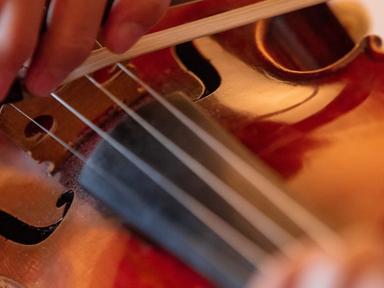 In this Violin Lessons for Beginners course, you will learn a solid foundation in learning one of the most rewarding ins... In this Violin Lessons for Beginners course, you will learn a solid foundation in learning one of the most rewarding ins...