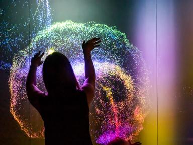 Experience an immersive exhibition that redefines digital creativity, where the world of videogames spills out beyond th...