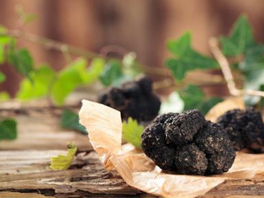 For a limited time only this August, while fresh truffle, straight from Eastern Australian Truffle Farms are availabl