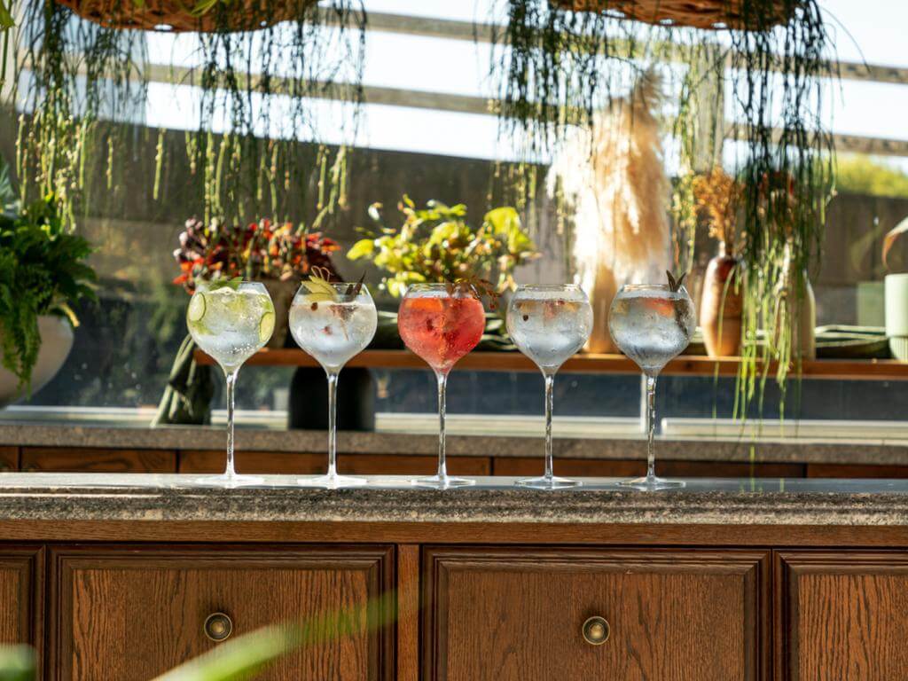 Vivid Sydney Gin Dinners At Pumphouse Sydney 2023 | What's on in Darling Harbour