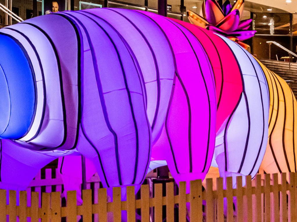 Water Bear: Chatswood Nights 2021 | What's on in Chatswood