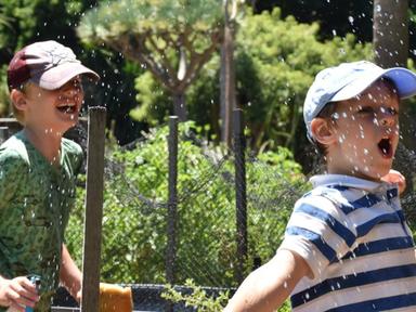 Jump into the wild world of water this summer at the Gardens!Keep cool as we go dip-netting by the pond to see freshwate...
