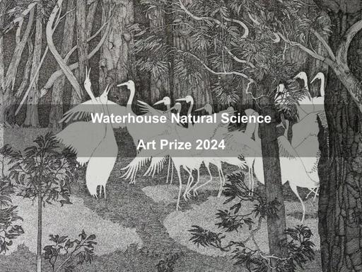 Waterhouse Natural Science Art Prize exhibition invites audiences to be inspired by beautiful and profound nature-themed works of art