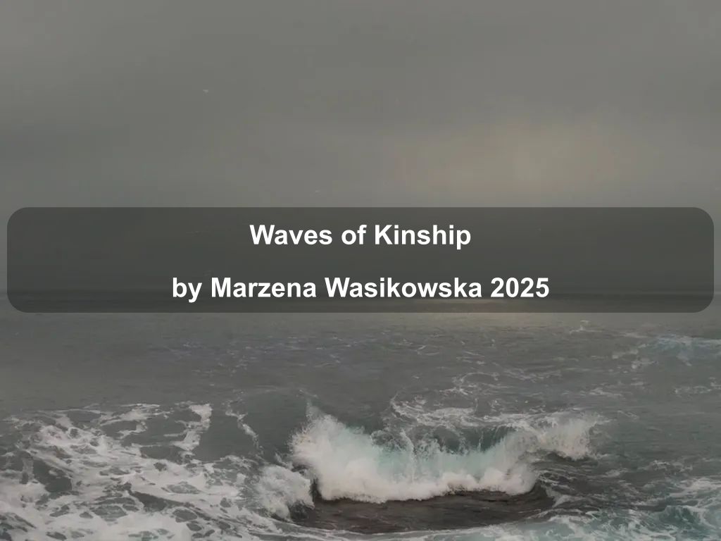 Waves of Kinship by Marzena Wasikowska 2025 | What's on in Manuka