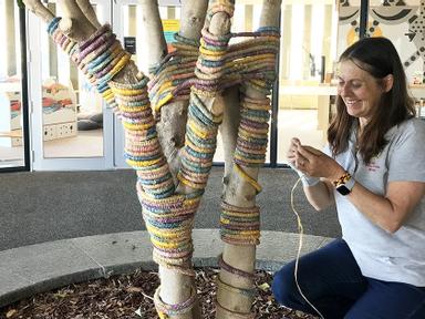 Recommended for children aged 10 to 16 years.Learn the art of weaving with Aboriginal weaver and artist, Lea Taylor. Par...