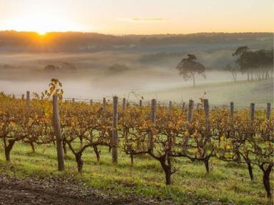 Join winemaker Matt Herde and Chef Sigrid on a guided journey through seven wines and seven (sizeable) matched canapés in this rare exploration of Western Australian wines from Rogue Vintner and Plant