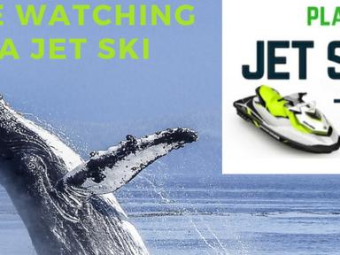 Self-drive jet ski tour with a guide to watch some amazing whales like you've never seen them before.Tours leave 3 times...
