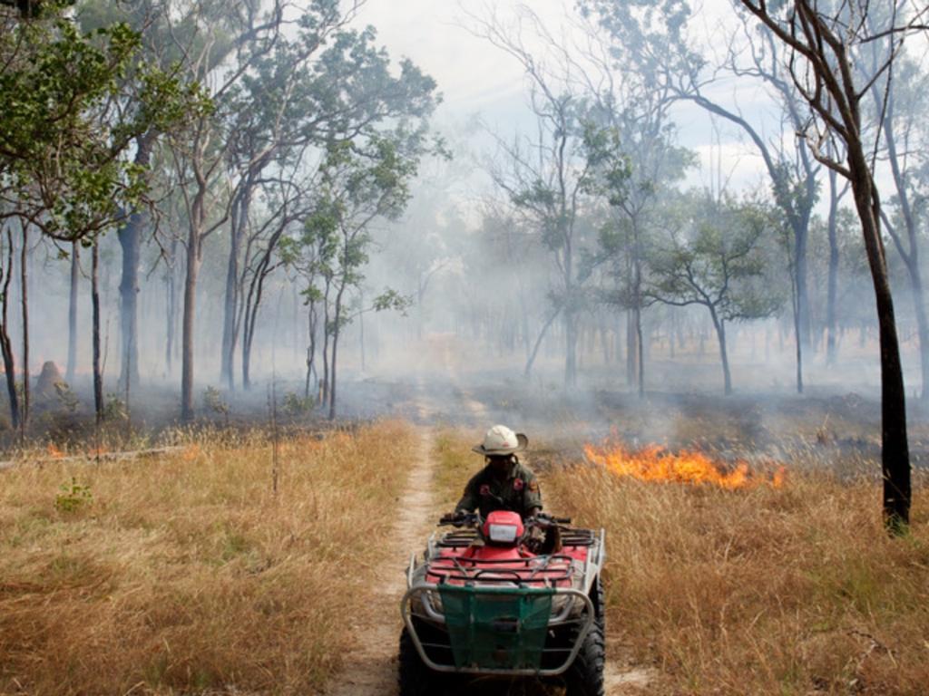 What is Carbon Trading? 2021 | What's on in Erskineville