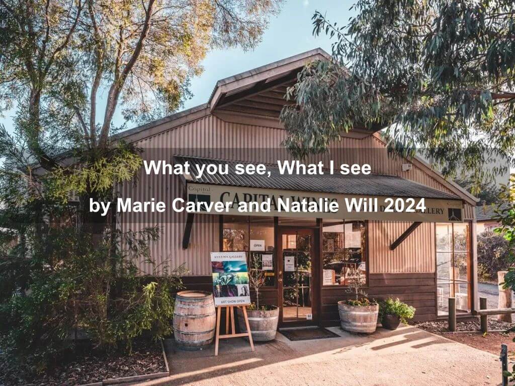What you see, What I see by Marie Carver and Natalie Will 2024 | Hall