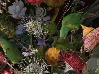 Where the Wild Things Grow - Living Botanical Still Lifes reimagines the grandeur of 17th-century still life through con...