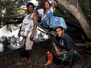 Which way? features over new works by three prominent members of the original Lockhart River Art Gang (Eastern Cape York...