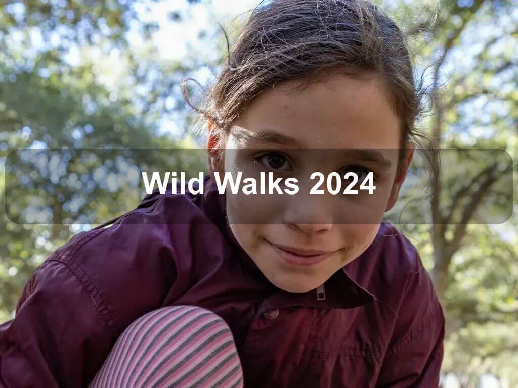 Wild Walks 2024 | Molonglo Valley