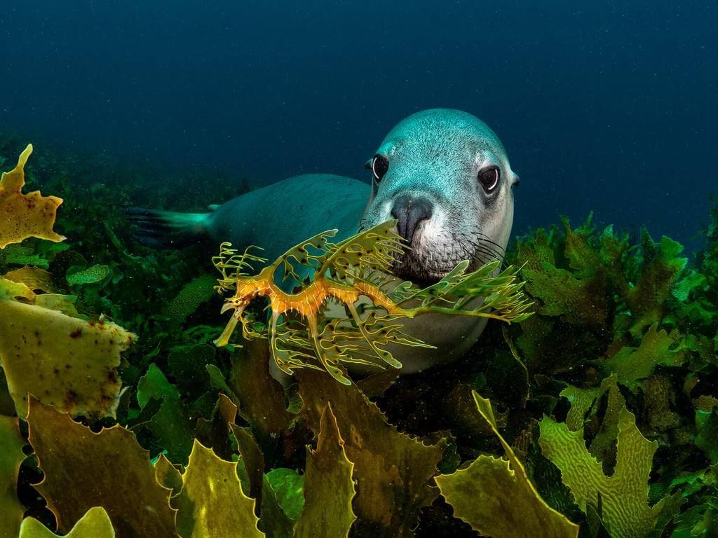 Wildlife Photographer Of The Year 2023 | What's on in Darling Harbour