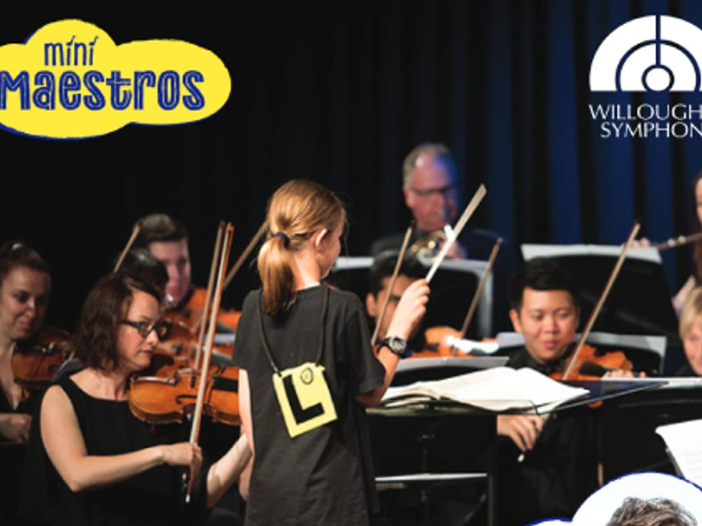 Willoughby Symphony Orchestra: Mini Maestros 2023 | What's on in Chatswood