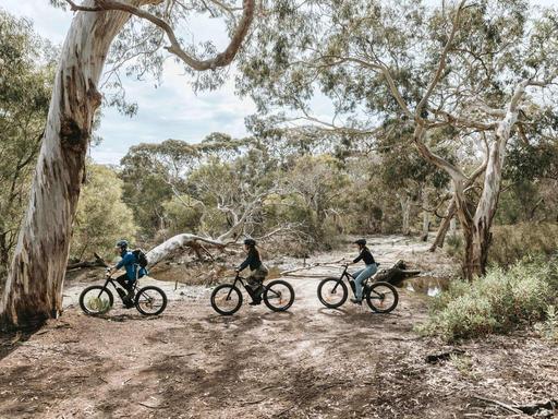 Embark on a winter journey into the wild, exploring otherwise inaccessible parts of Kangaroo Island on an unforgettable ... Embark on a winter journey into the wild, exploring otherwise inaccessible parts of Kangaroo Island on an unforgettable ...