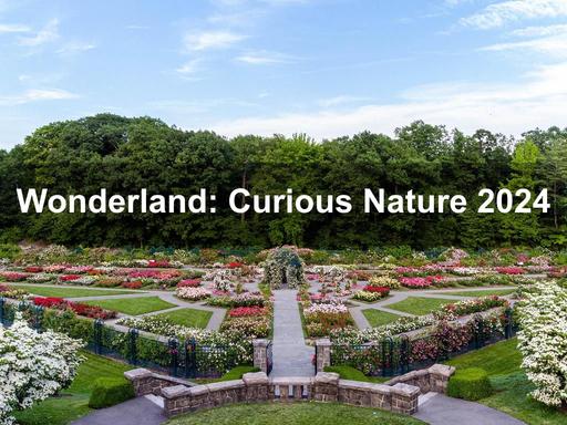 Imaginative horticultural displays take over New York Botanical Garden in 2024.