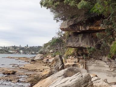 Hear from Ray Ingrey of the Gujaga Foundation at La Perouse- along with Dr Paul Irish as they discuss why the Aboriginal...