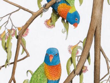 Gain a thorough understanding of this exciting, safe and accessible medium. During this two day workshop you will explor...