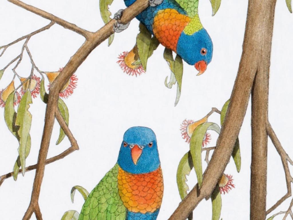 Workshop / Introduction to Copper Plate Etching 2026 | What's on in Willoughby