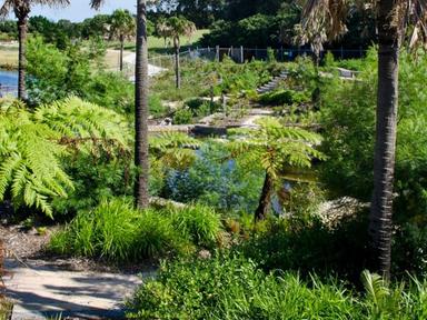 Enjoy a guided, mindful walk in beautiful Sydney Park. We'll find some peaceful places to enjoy gentle stretches, share ... Enjoy a guided, mindful walk in beautiful Sydney Park. We'll find some peaceful places to enjoy gentle stretches, share ...