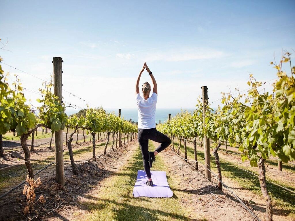 Yoga in the Vines at Jack Rabbit Vineyard 19 December 2020 | Melbourne