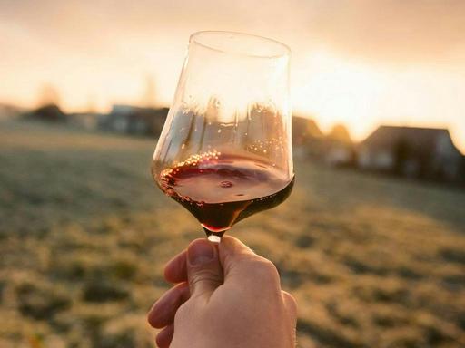 Think you know your wine? Put your palate to the test in Zema Estate's Mystery Wine Tasting Challenge! Taste a selection...