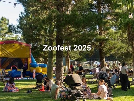 Zoofest Returns to the National Zoo & Aquarium: A Wild Day of Family Fun These School Holidays!The National Zoo & Aquarium is set to come alive with colour, music and adventure as Zoofest makes its much-anticipated return these school holidays Zoofest Returns to the National Zoo & Aquarium: A Wild Day of Family Fun These School Holidays!The National Zoo & Aquarium is set to come alive with colour, music and adventure as Zoofest makes its much-anticipated return these school holidays